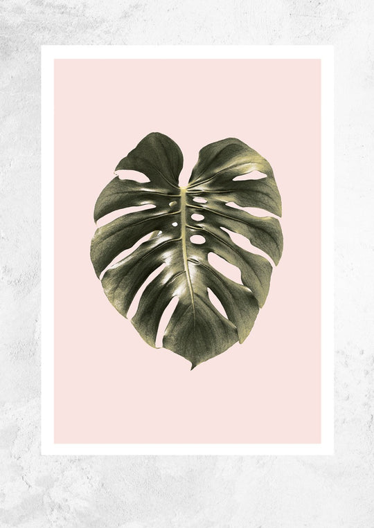 Monstera Leaf