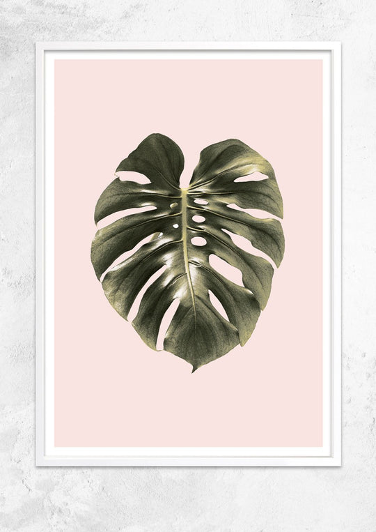 Monstera Leaf