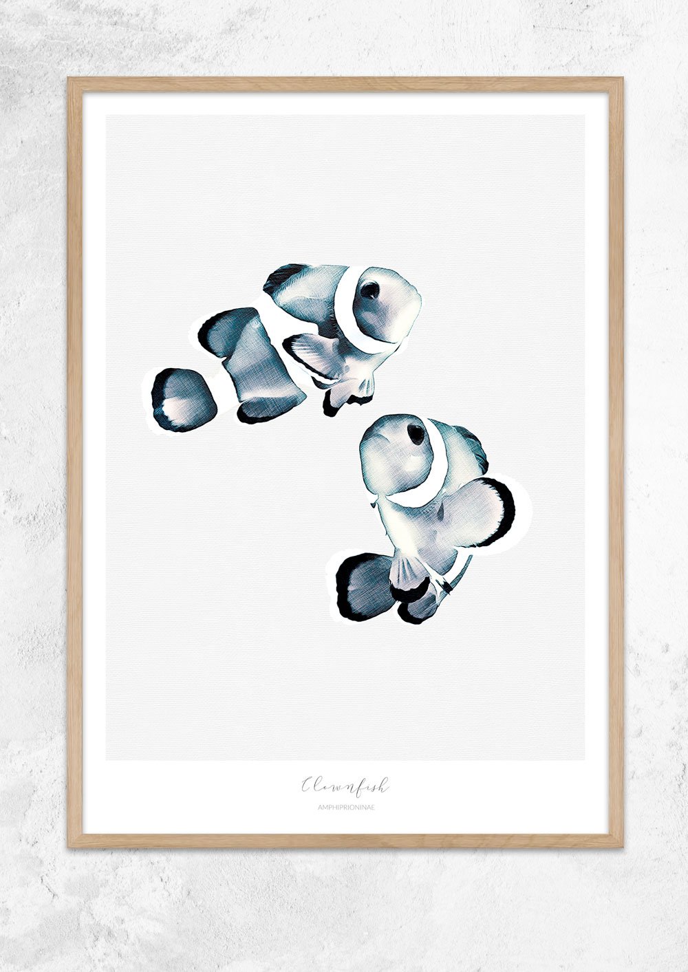 Marine Life Series - Clownfish