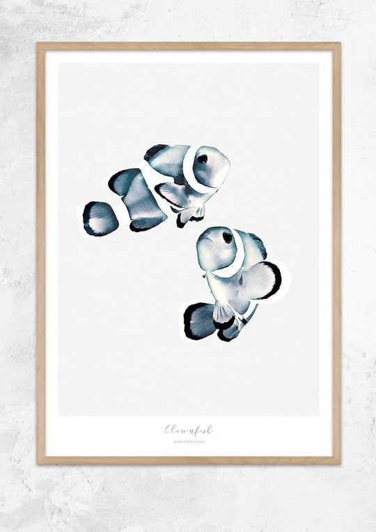 Marine Life Series - Clownfish