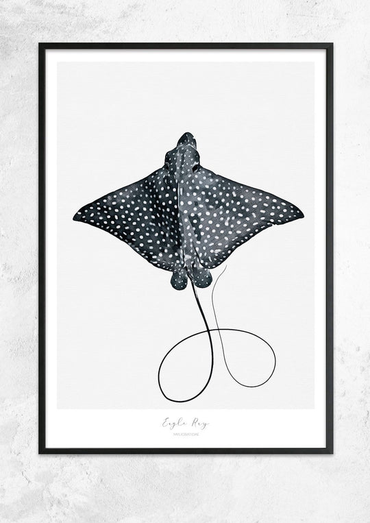 Marine Life Series - Eagle Ray