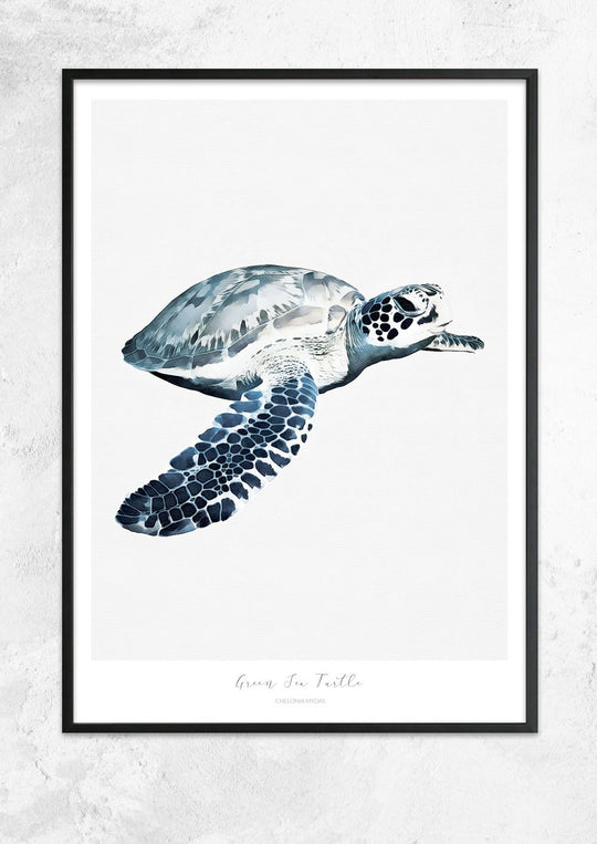 Marine Life Series - Green Sea Turtle