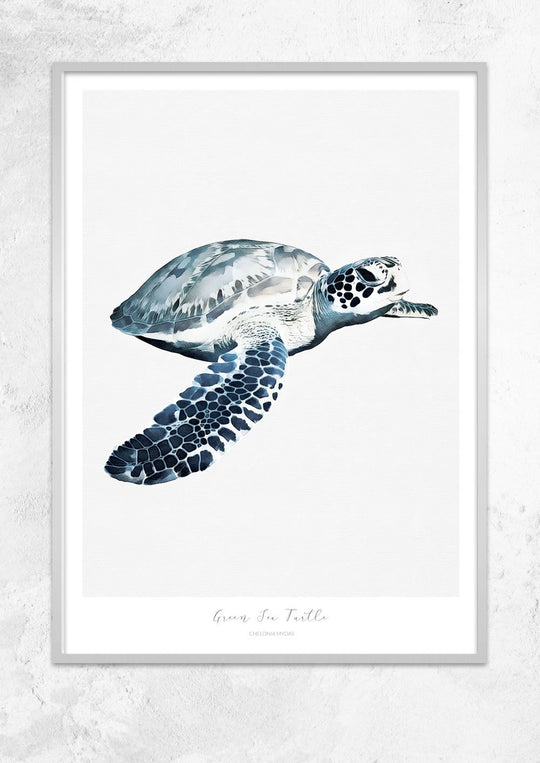 Marine Life Series - Green Sea Turtle