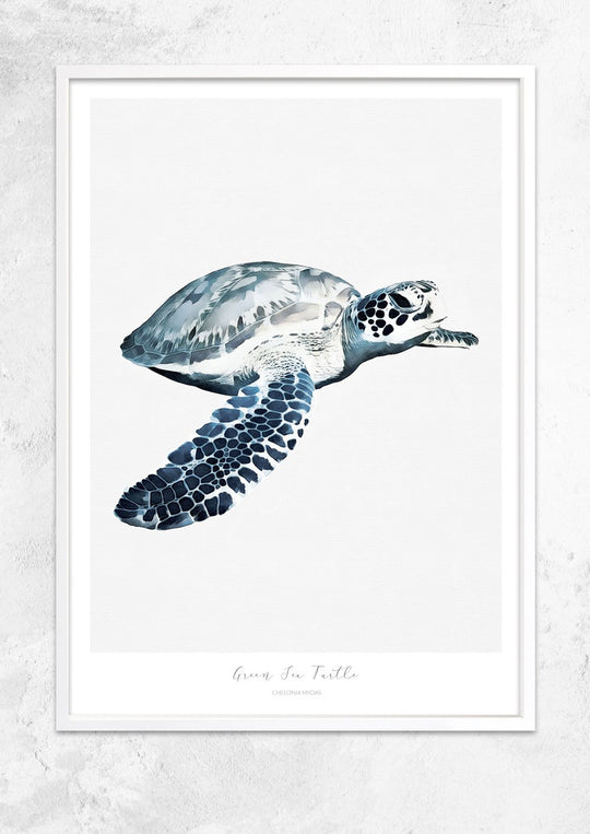 Marine Life Series - Green Sea Turtle