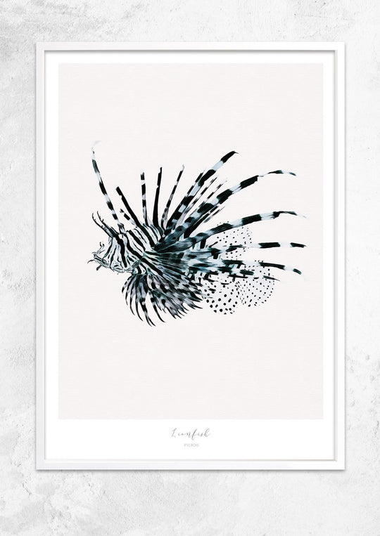 Marine Life Series - Lionfish