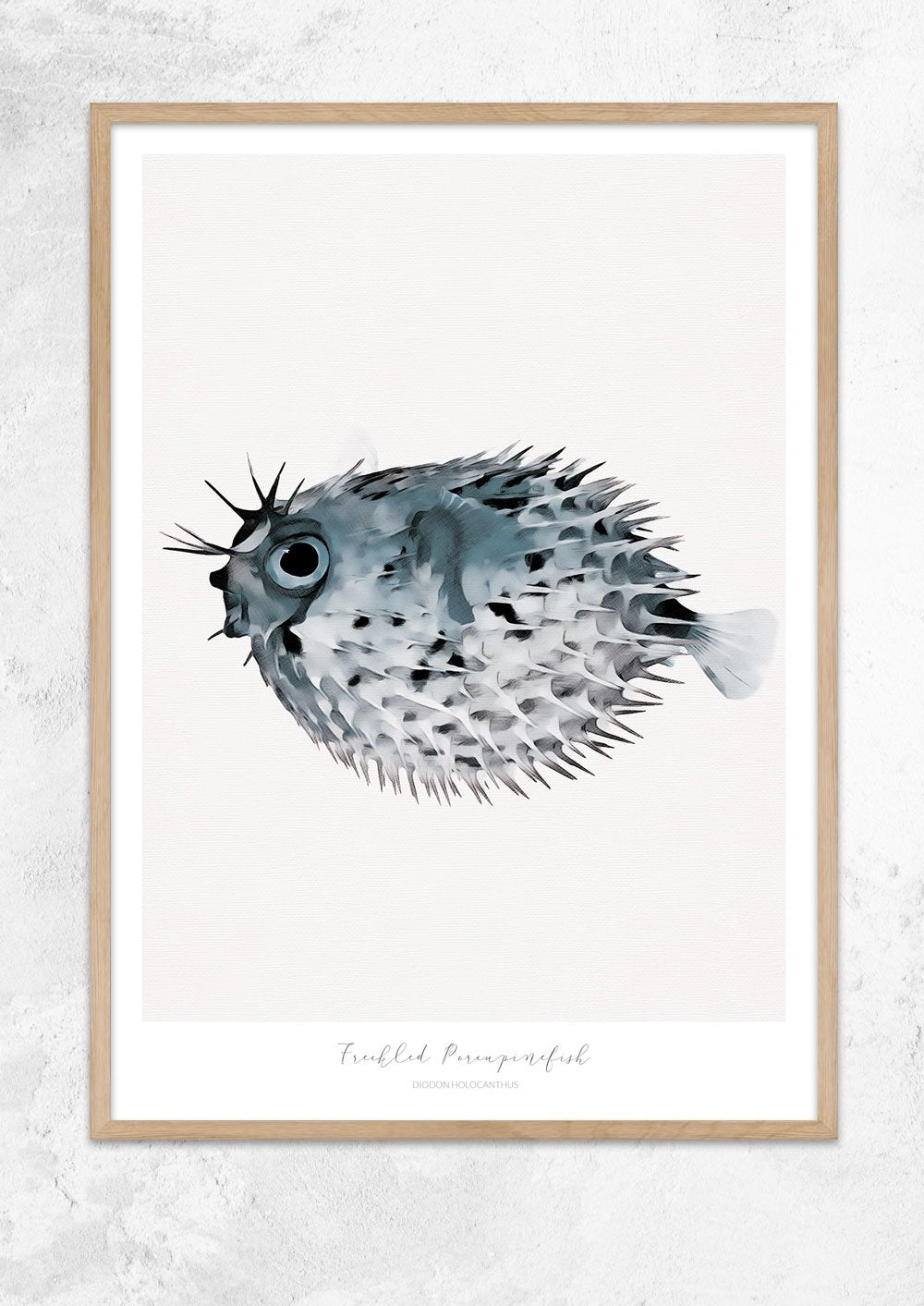 Marine Life Series - Freckled Porcupine Fish