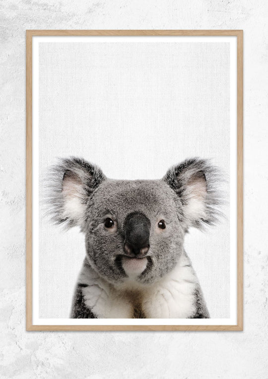 Nursery Animals - Koala