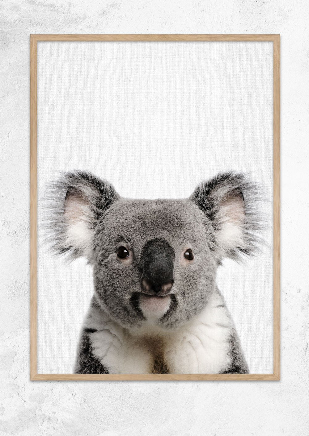 Nursery Animals - Koala