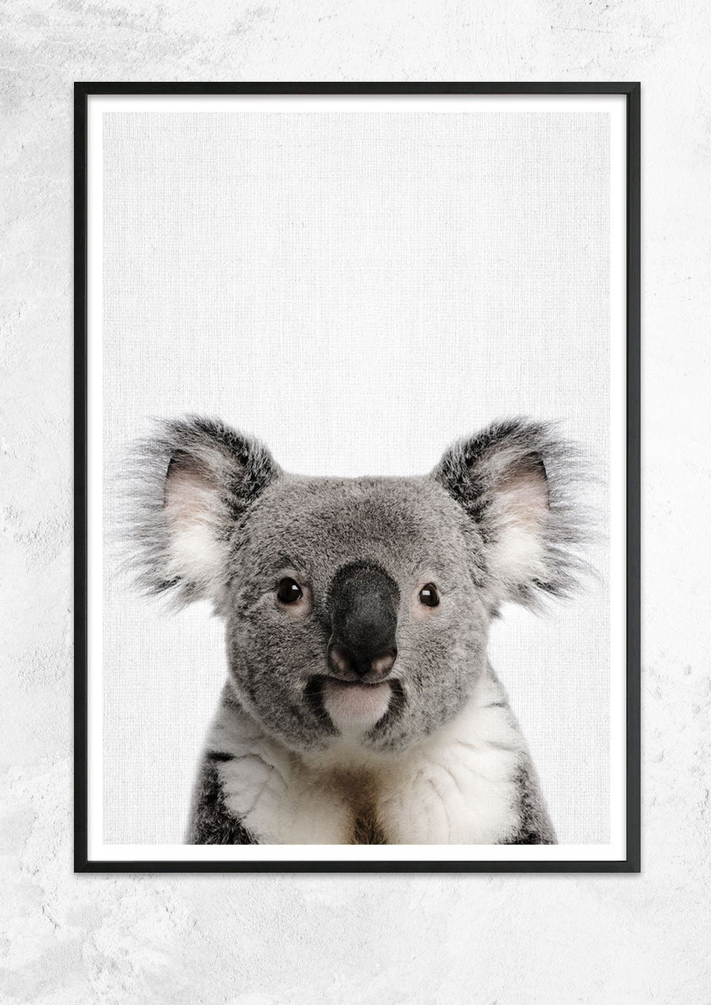 Nursery Animals - Koala