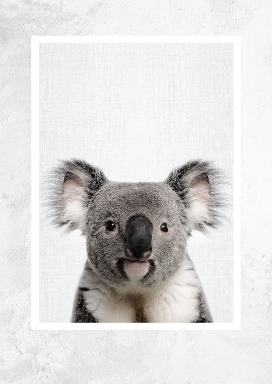 Nursery Animals - Koala