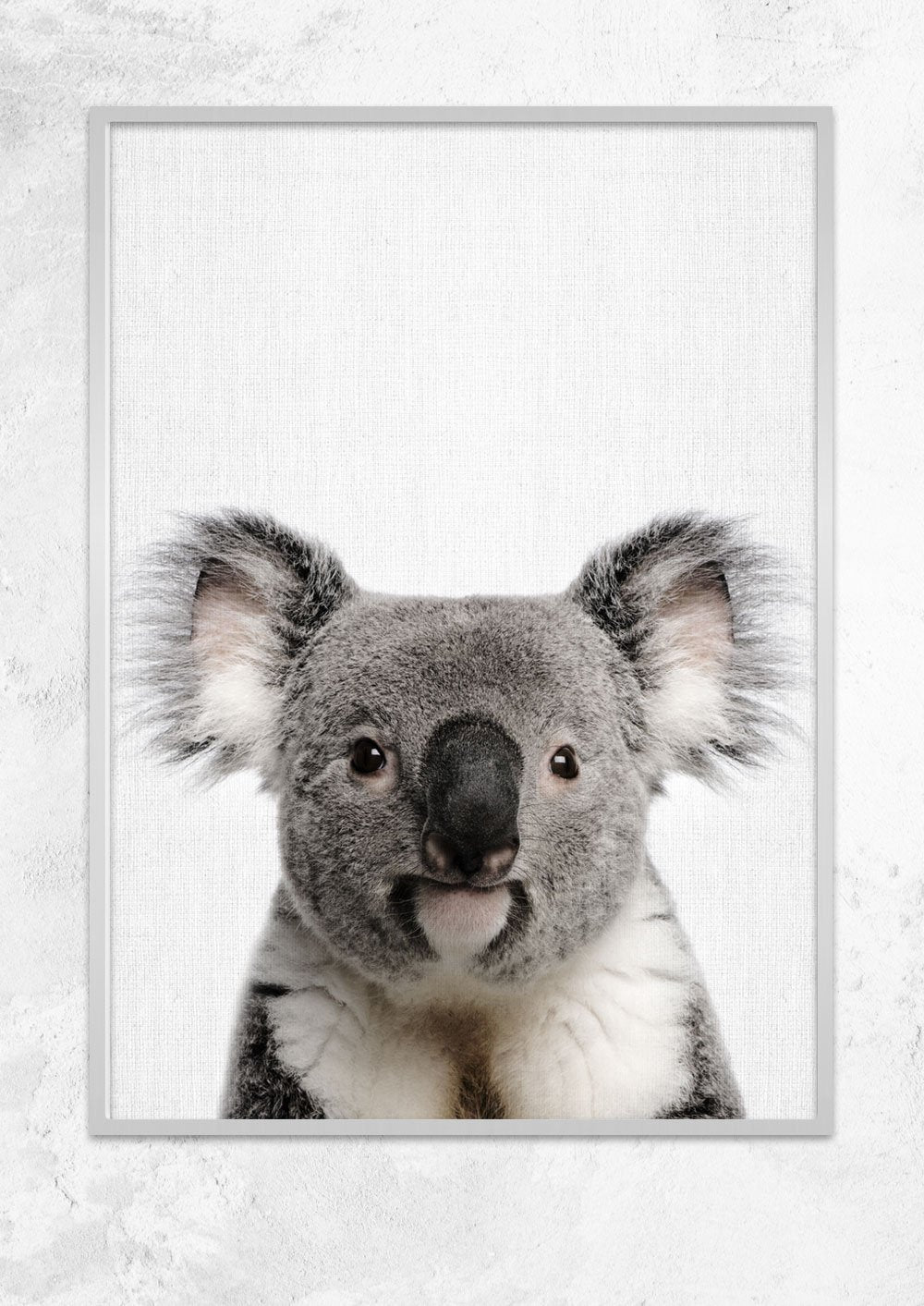 Nursery Animals - Koala