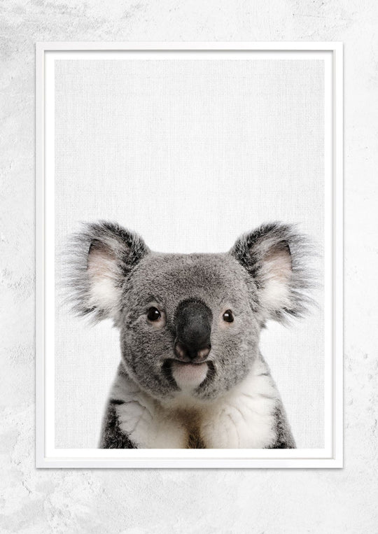 Nursery Animals - Koala