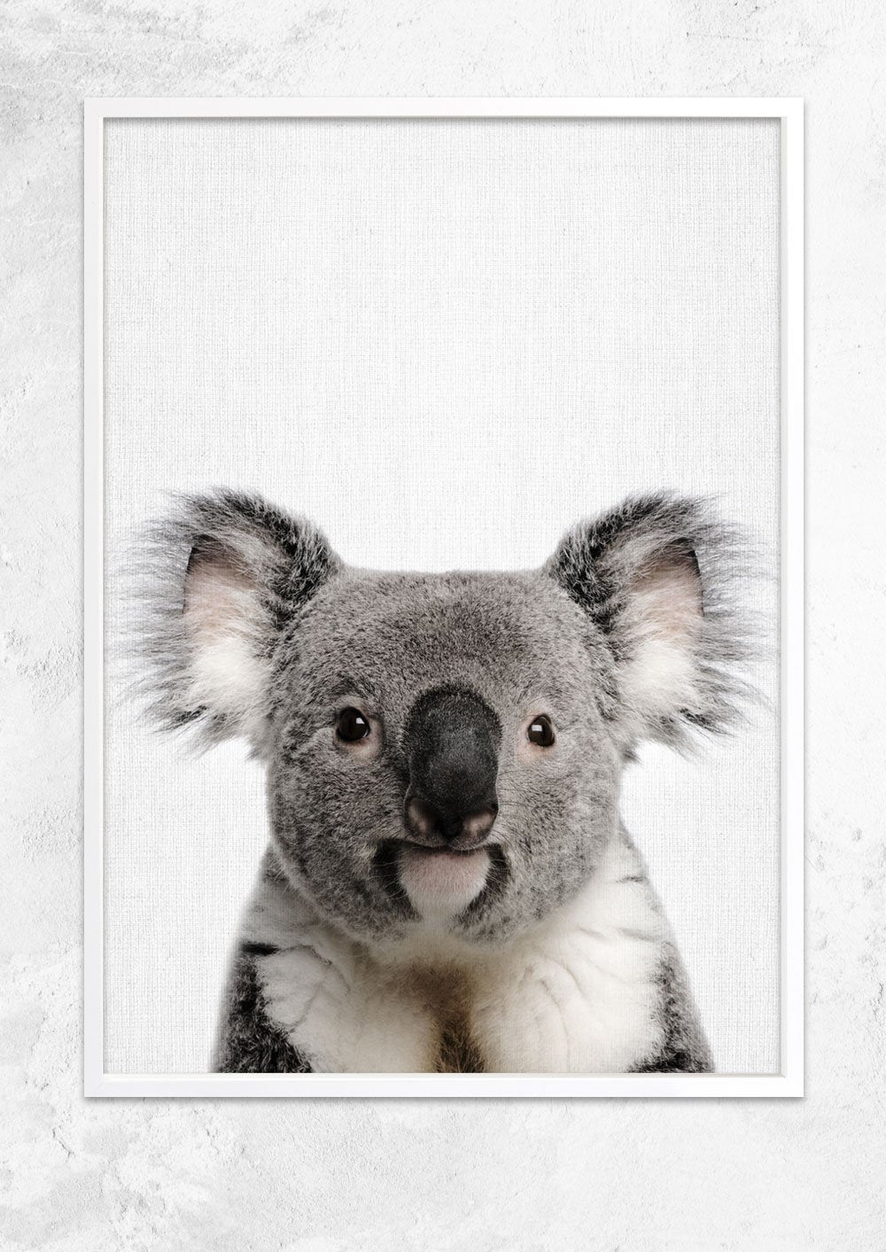 Nursery Animals - Koala