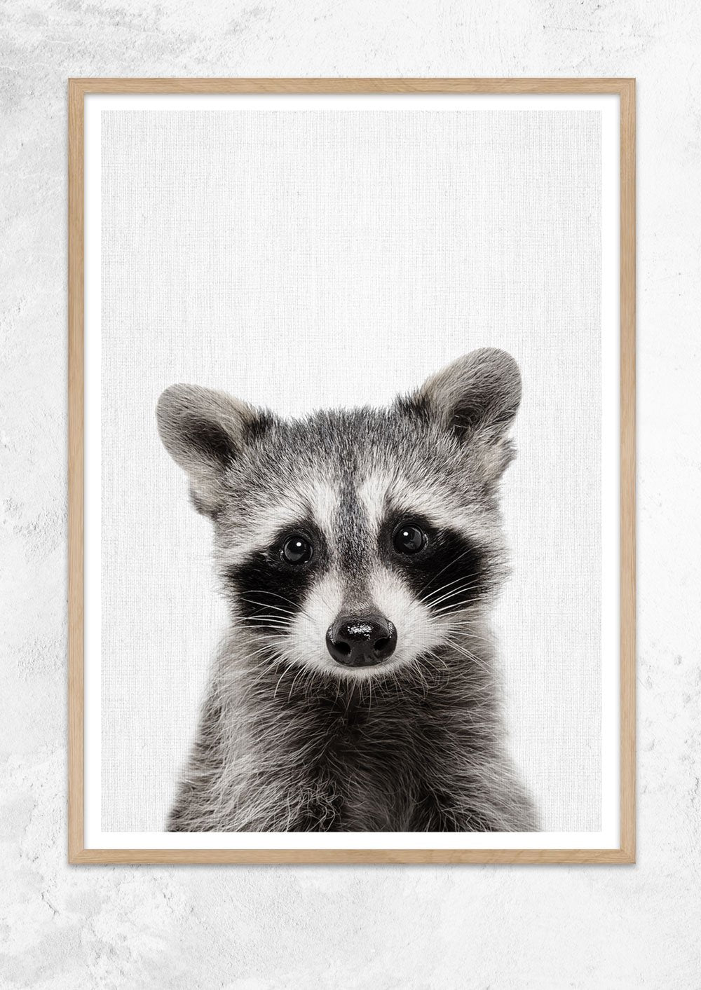 Nursery Animals - Raccoon