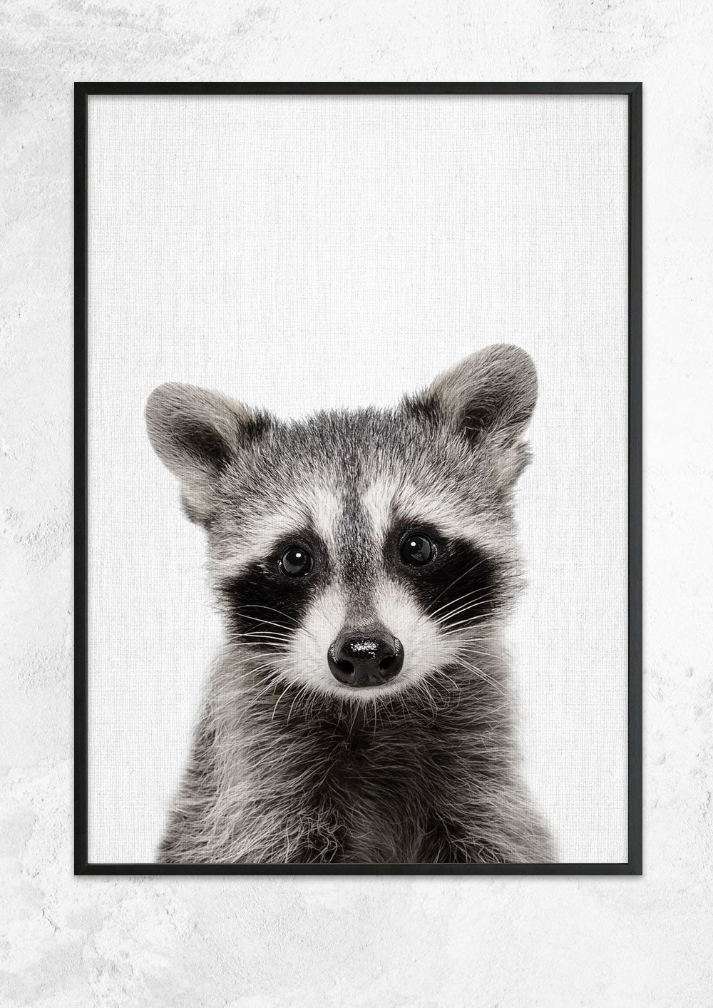 Nursery Animals - Raccoon