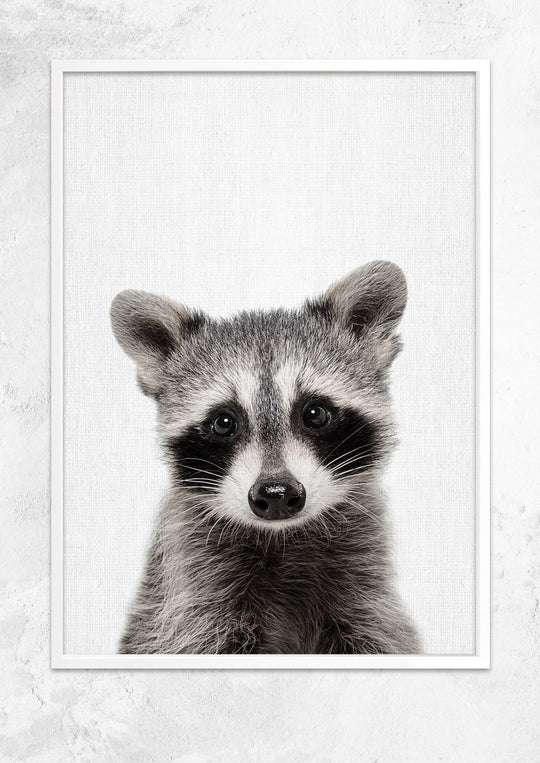 Nursery Animals - Raccoon