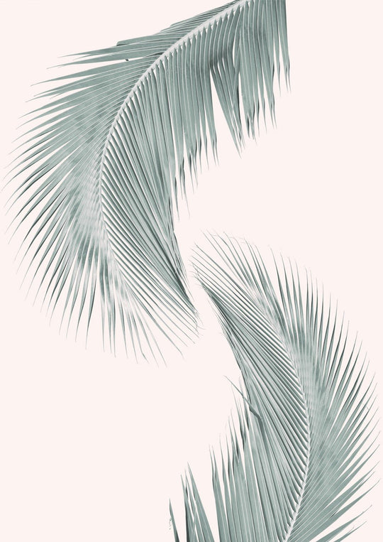 Silver Coconut Palms No I