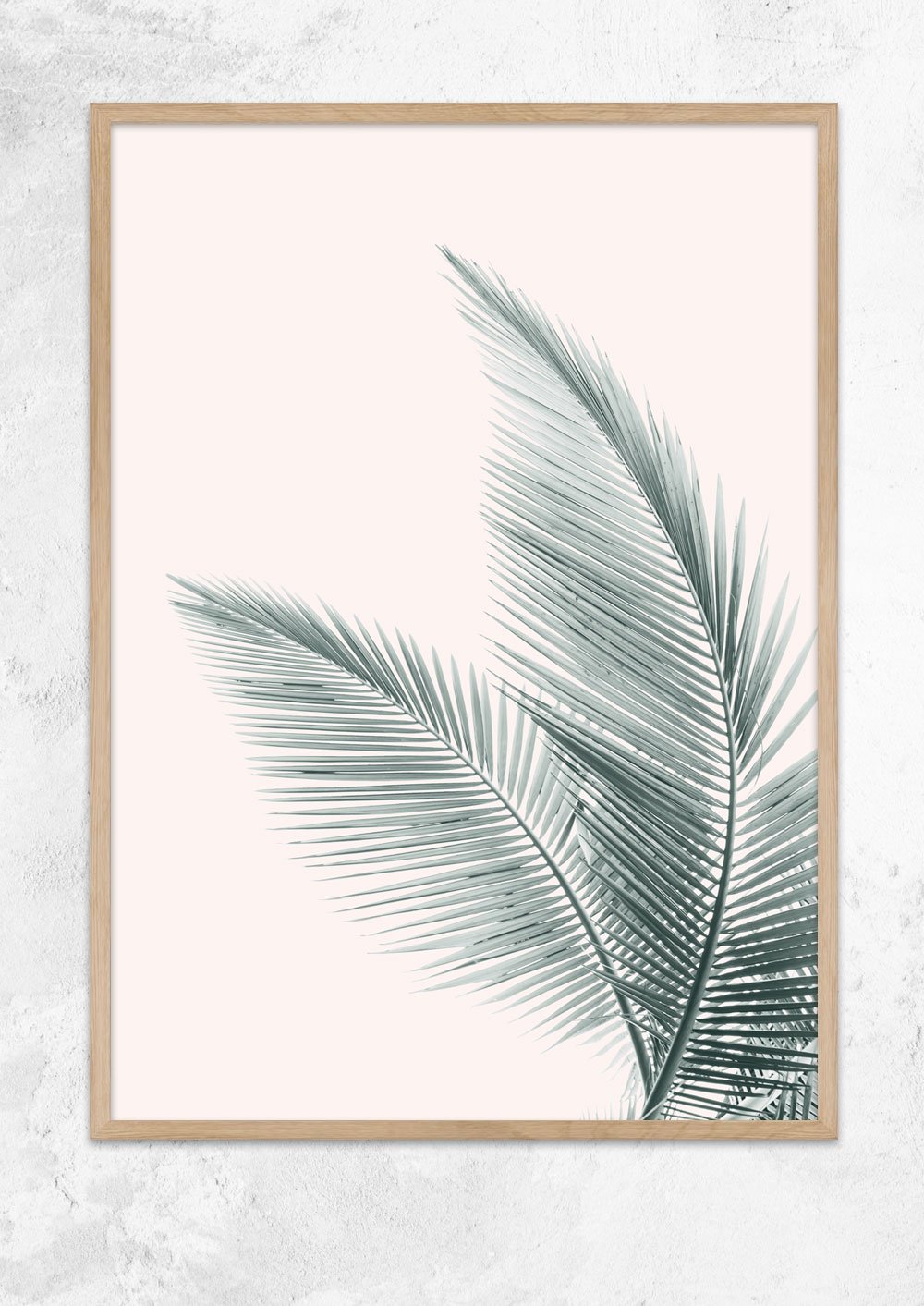 Silver Coconut Palms No II