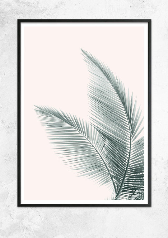 Silver Coconut Palms No II