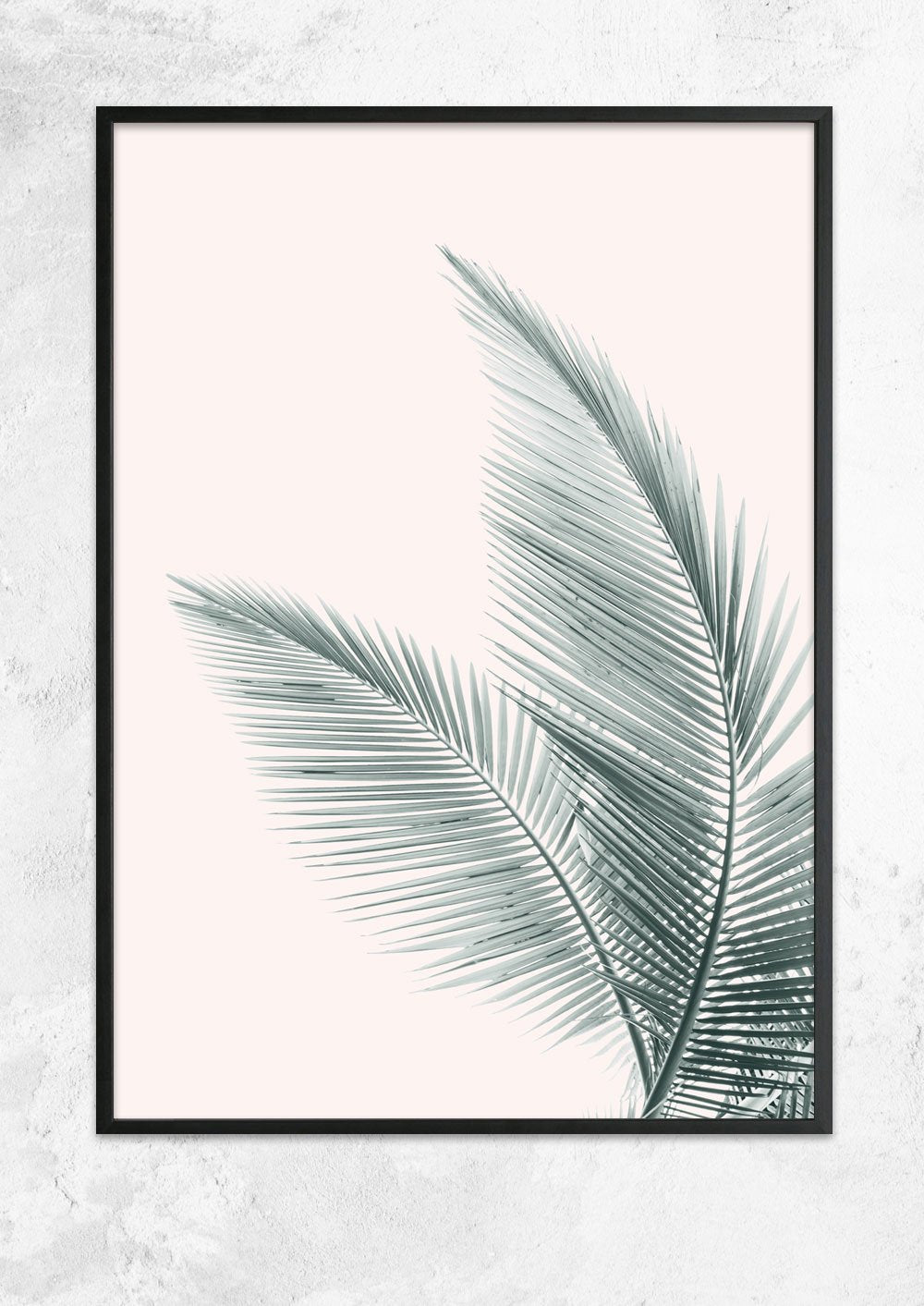 Silver Coconut Palms No II