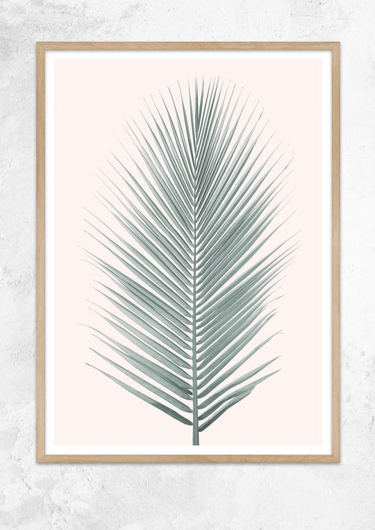 Silver Coconut Palm Leaf